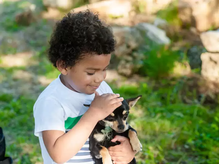 Young boy holding and petting a dog